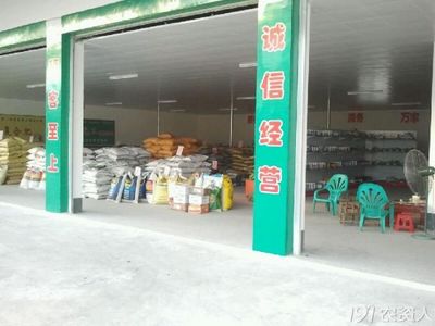 晨光中的農(nóng)藥零售 一位農(nóng)資店主的日常