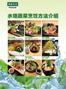 水培蔬菜面市，無農(nóng)藥無污染贏得用戶贊譽(yù)